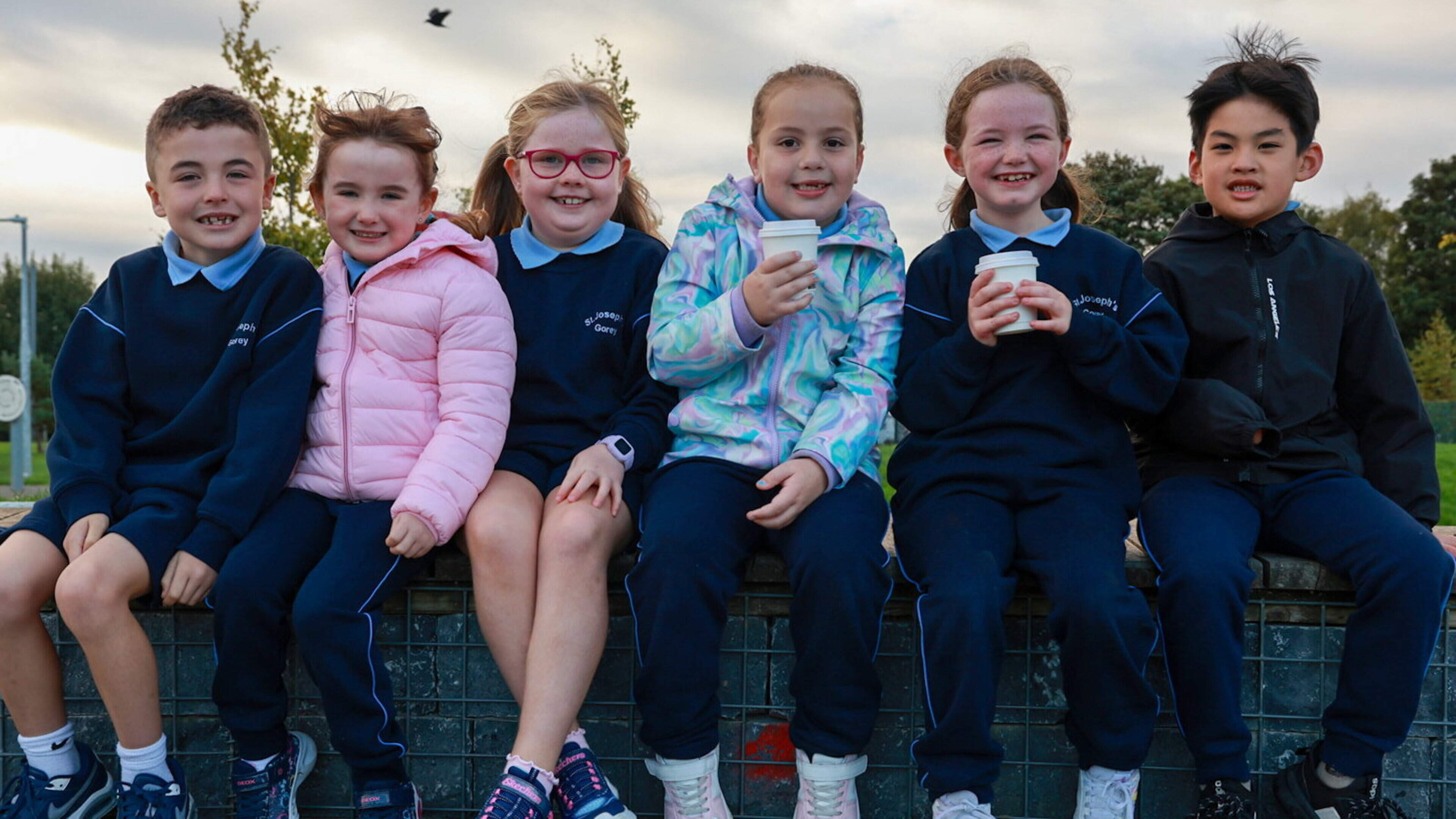 Around the Districts: Askamore, Ballycanew, Ballygarrett, Carnew and Coolgreany